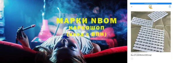 гашик Алексеевка