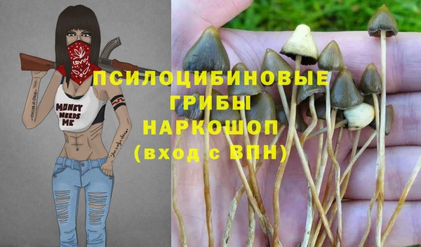 каннабис Алзамай