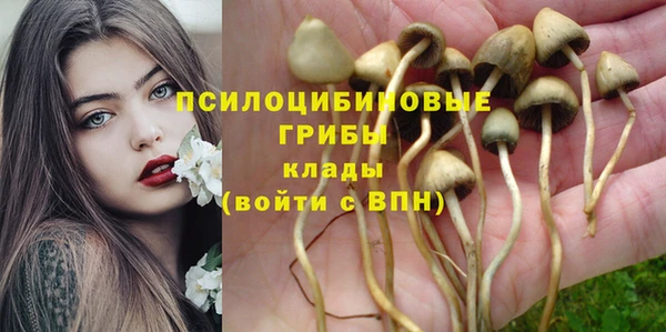 каннабис Алзамай