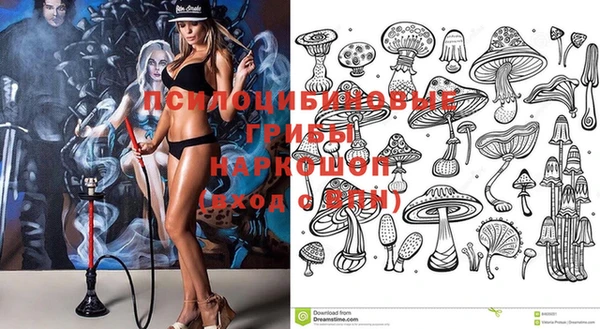 гашик Алексеевка