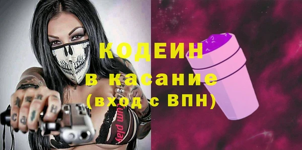 гашик Алексеевка