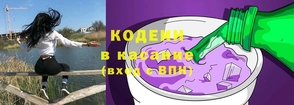 гашик Алексеевка