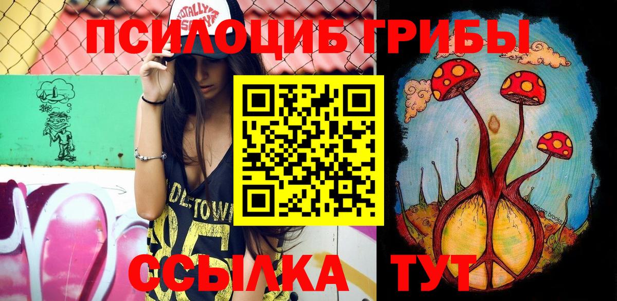 Псилоцибиновые грибы Psilocybine cubensis  Вход с VPN  Усинск 